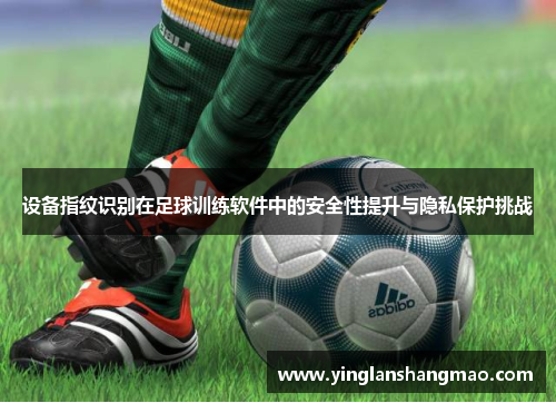 设备指纹识别在足球训练软件中的安全性提升与隐私保护挑战
